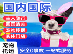 长沙黄花机场空运国际宠物托运 【国